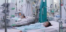 Điều trị bệnh nhân sốt xuất huyết tại Bệnh viện Bệnh Nhiệt đới TP HCM.