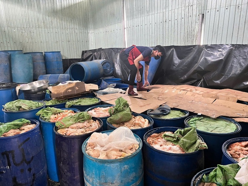 Cơ sở có hàng trăm thùng nhựa chứa da heo và mỡ bốc mùi hôi thối.